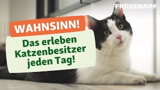 7 typische Situationen die nur Katzenbesitzer kennen [upl. by Anderea]