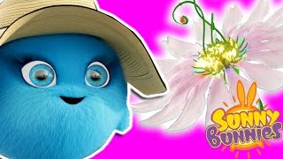 Cartoons For Children  Sunny Bunnies THE SUNNY BUNNIES MAGIC FLOWER  Funny Cartoons For Children [upl. by Adnyl967]