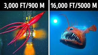 Fascinating 3D Journey to the Ocean Depths [upl. by Yirinec588]