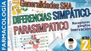 DIFERENCIAS entre sistema SIMPÁTICO Y PARASIMPÁTICO Aplicación clínicaNEUROFARMACOLOGÍA INTRO P2 [upl. by Rairb]