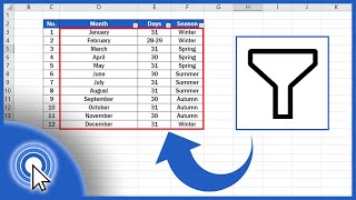 How to Create Filter in Excel [upl. by Norval357]