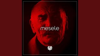 Mesele [upl. by Pussej]