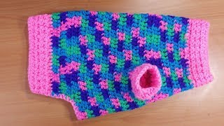 Small Dog Crochet Sweater Tutorial [upl. by Noiro]