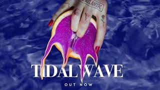 Chase Atlantic  Tidal Wave Official Lyric Video [upl. by Sumerlin]