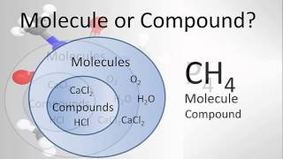 Molecule vs Compound Examples and Practice [upl. by Eendyc]