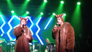 Ylvis  The Fox live in Tysvær [upl. by Namlaz311]