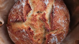 ARTISAN BREAD  NO KNEAD BREAD  Homemade Dutch Oven Bread  Crusty Bread 4K Juicing Peaches [upl. by Bellaude]