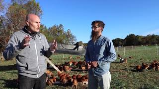 The BEST Pastured Poultry System Out There  Truly Free Range [upl. by Latona]