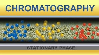 Chromatography Animation IQOGCSIC [upl. by Ferdinand]