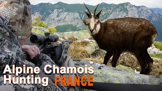 Alpine Chamois Hunting in France  Chasse au Chamois en France  2021 [upl. by Nnaassilem]