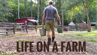 Life On A Farm  Morning amp Evening Chores  Our Daily Homestead Routine [upl. by Kirbie]