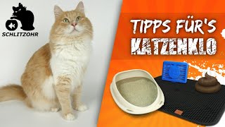 🔥5 Katzenklo Tipps  Katzenstreu in der Wohnung  Katzenstreu Matte  Katzenklo Gerüche reduzieren [upl. by Theone]