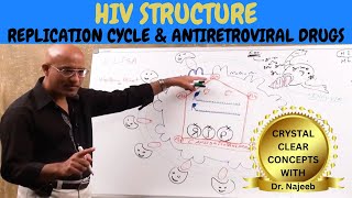 HIV AIDS  Sign Symptoms Transmission amp Treatment  Dr Najeeb🩺 [upl. by Arakal]