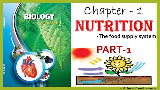 Nutrition  The Food Supply System 10th Biology Part 1 [upl. by Yrgoerg]