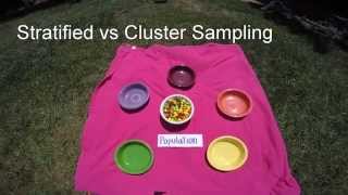 Stratified v Cluster Sampling [upl. by Johanan]