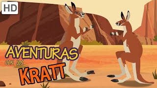 Aventuras con los Kratt  Combatiendo Canguros [upl. by Marduk]