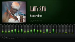 Lady Saw  Reggae Sumfest Spotlight 1 [upl. by Urba558]