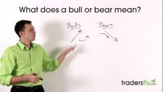 What Does a Bull and Bear Mean in the Stock Market [upl. by Gelya]