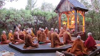 Pali Chanting In The Abhayagiri Buddhist Monastery  Theravada Buddhism [upl. by Enitsirk]