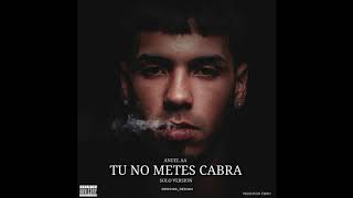 Anuel AA  Tu No Metes Cabra Solo Version [upl. by Hendry]