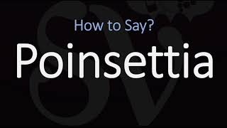 How to Pronounce Poinsettia CORRECTLY [upl. by Hershell]