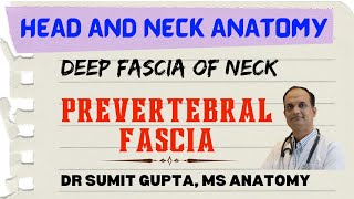 DEEP CERVICAL FASCIA  PREVERTEBRAL FASCIA [upl. by Nomannic]