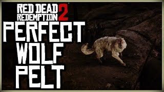 HOW TO GET A PERFECT WOLF PELT  RED DEAD REDEMPTION 2 PRISTINE WOLF HUNT [upl. by Sacha]