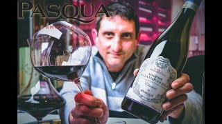 Pasqua Amarone della Valpolicella DOCG  Wine Reviews  Episode 28 [upl. by Aidnyl]