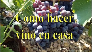 Como hacer vino tinto casero [upl. by Mollee]