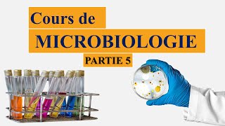 cours de microbiologie partie 5  la taxonomie bactérienne  nomenclature des microorganismes [upl. by Yoko]