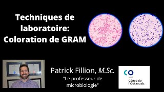 LABORATOIRE DE MICROBIOLOGIE COLORATION DE GRAM [upl. by Analle]