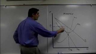 Monopoly Graph Review Microeconomics [upl. by Ennaeed]