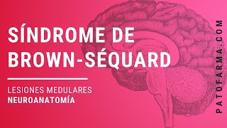 Síndrome de BrownSéquard Lesiones medulares Neuroanatomía para estudiantes de medicina [upl. by Lindie]