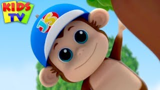 Animal Habitat Song  Junior Squad  Nursery Rhymes for Babies  Kids TV [upl. by Rocker]