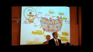 ANATOMY REVIEW OF CYTOLOGY PART 2 by Professor Fink [upl. by Maximo]