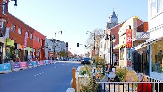 Walking in Kingston Downtown in Autumn  Kingston Ontario Canada 4k video [upl. by Omlesna235]