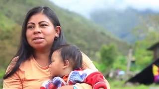 Documental Indígenas Uwa Colombia  Guardianes de la Madre Tierra [upl. by Aisatna]