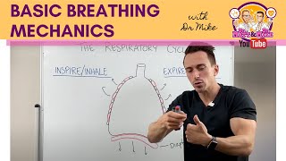 Basic Breathing Mechanics [upl. by Notsniw159]