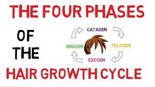 Understanding The Hair Growth Cycle  Adam Explains [upl. by Margaretha766]