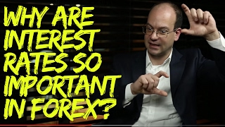 Why are Interest Rates so Important for Forex Traders [upl. by Cope]