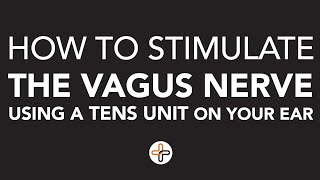 How To Stimulate the Vagus Nerve using a TENS Unit on Your Ear [upl. by Pearman690]