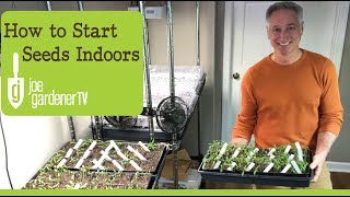 How I Start Seeds Indoors Tips amp Techniques [upl. by Amend]