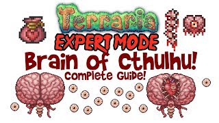 Terraria Brain of Cthulhu Expert Mode Guide Fight How to Spawn Drops Brain of Confusion [upl. by Krishnah]