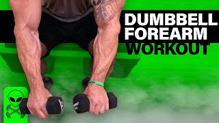 Intense 6 Minute Dumbbell Forearm Workout [upl. by Alroi]