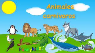 Animales carnívoros para niños [upl. by Short]