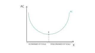 C5 Economies of scale  Cost  Microeconomics [upl. by Airahs395]