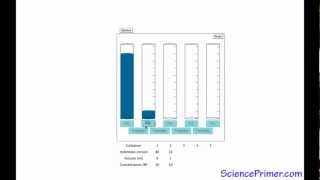 Serial Dilution Overview [upl. by Cordey]