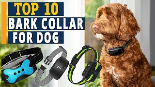 Best Bark Collar For Dogs in 2022  TOP 10 Review [upl. by Cesare715]