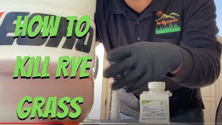 How to Kill Perennial Rye Grass  Bermuda Lawn Care [upl. by Cimbura]