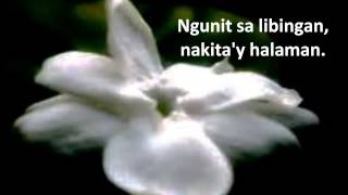 Mabuhay Singers  Sampaguita with Lyrics [upl. by Karab698]